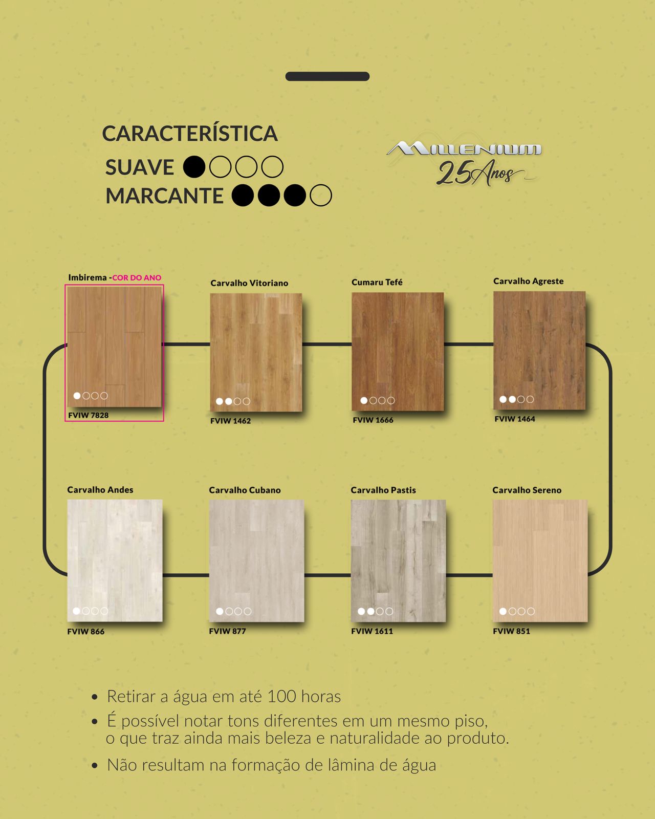 WhatsApp Image 2025-11-08 at 16.14.34 (1)